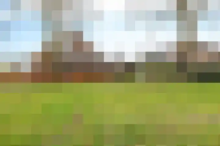 Wendakkers 34 Dalen thumbnail 48