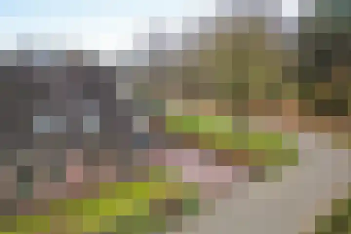 Wendakkers 34 Dalen thumbnail 49