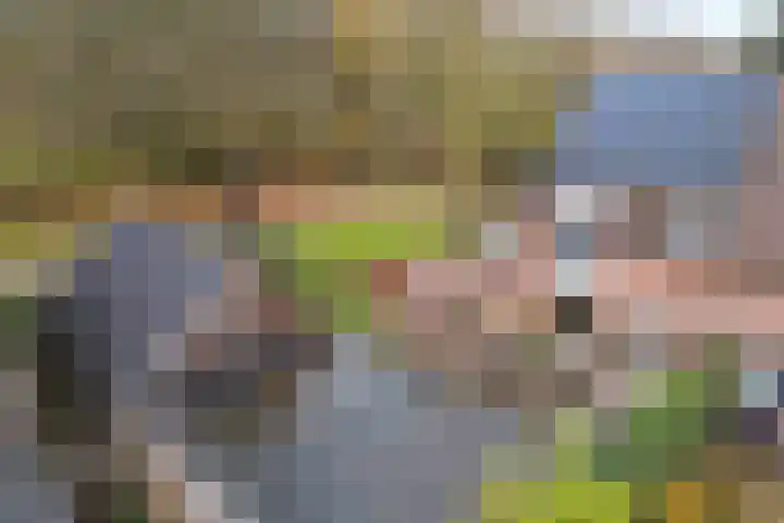 Wendakkers 34 Dalen thumbnail 50