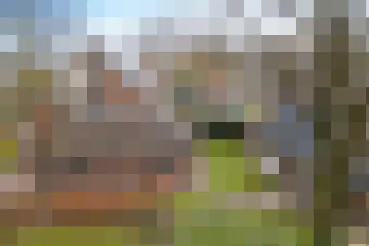 Wendakkers 34 Dalen thumbnail 52