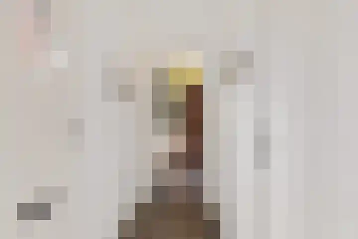 Wendakkers 34 Dalen thumbnail 7