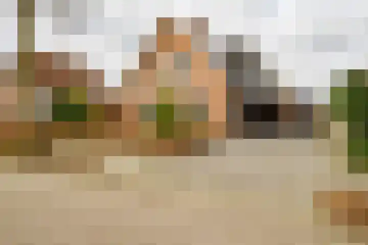 Wendakkers 6 Sibculo