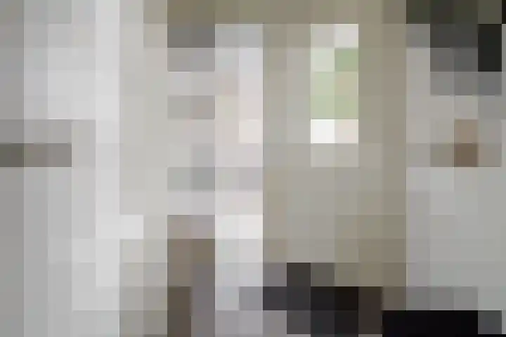 Wendakkers 6 Sibculo thumbnail 13