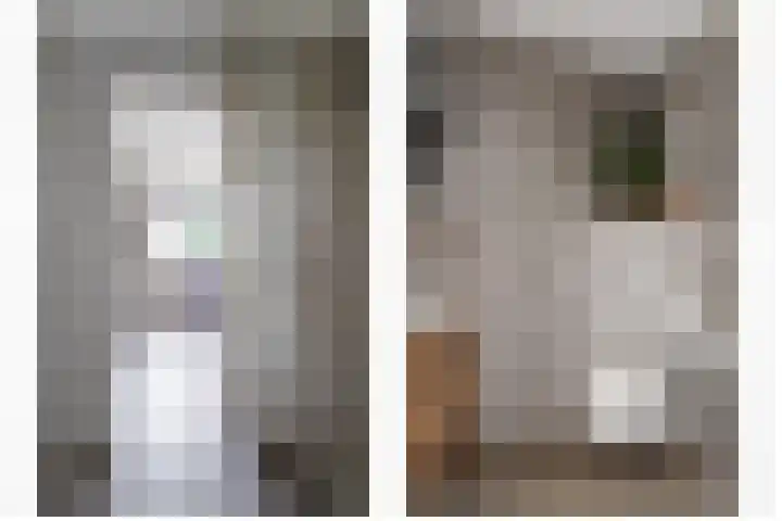 Wendakkers 6 Sibculo thumbnail 14