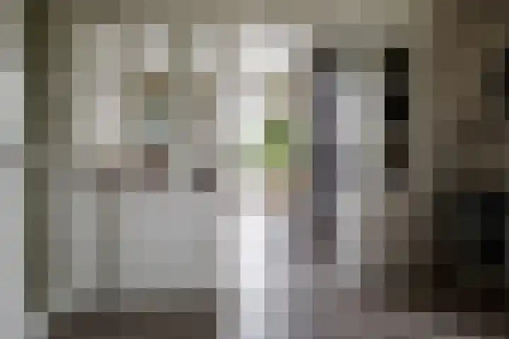 Wendakkers 6 Sibculo thumbnail 15