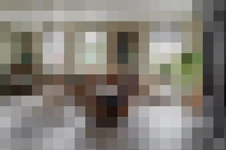 Wendakkers 6 Sibculo thumbnail 16