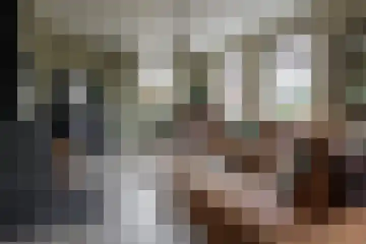 Wendakkers 6 Sibculo thumbnail 17