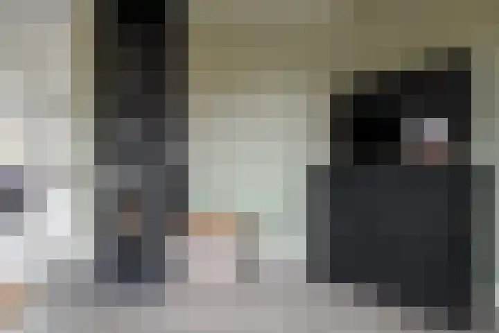 Wendakkers 6 Sibculo thumbnail 18