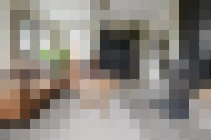 Wendakkers 6 Sibculo thumbnail 19