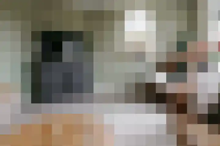 Wendakkers 6 Sibculo thumbnail 20