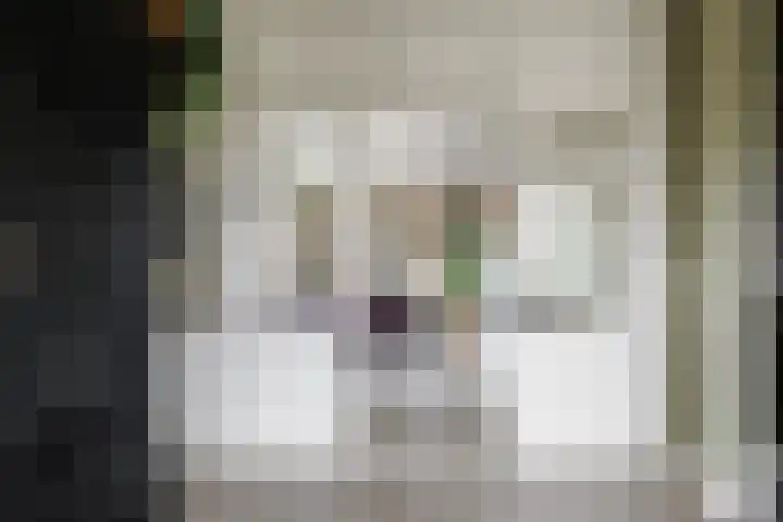 Wendakkers 6 Sibculo thumbnail 21