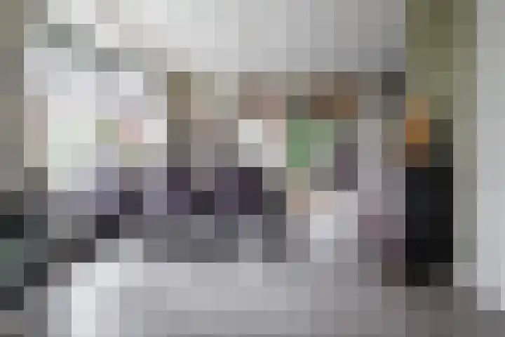 Wendakkers 6 Sibculo thumbnail 22