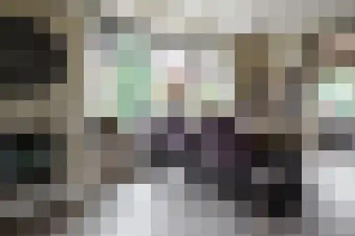 Wendakkers 6 Sibculo thumbnail 23