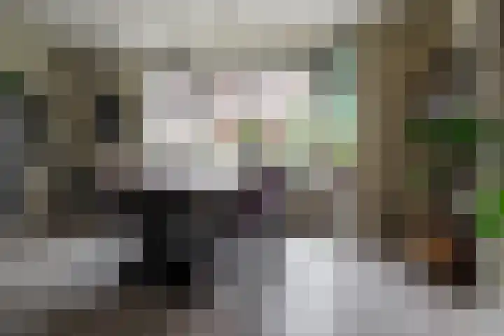 Wendakkers 6 Sibculo thumbnail 24