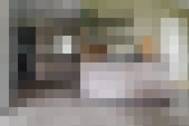 Wendakkers 6 Sibculo thumbnail 25