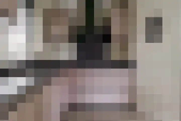 Wendakkers 6 Sibculo thumbnail 27