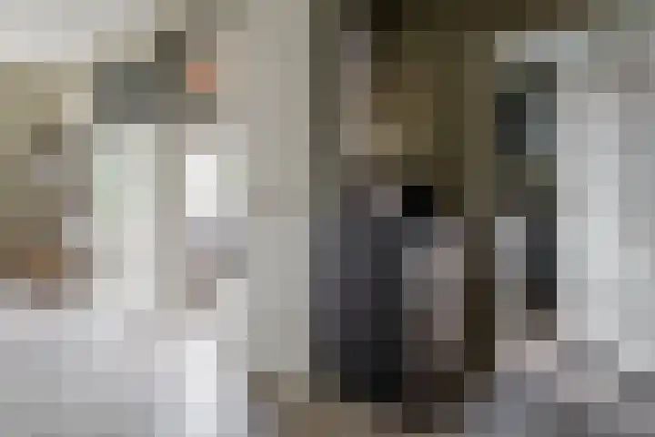 Wendakkers 6 Sibculo thumbnail 28