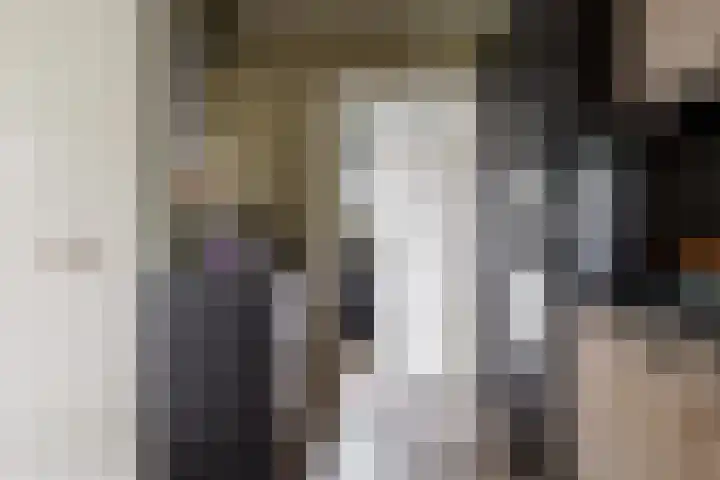 Wendakkers 6 Sibculo thumbnail 29