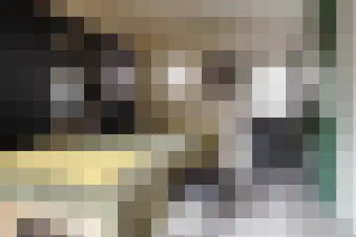 Wendakkers 6 Sibculo thumbnail 31