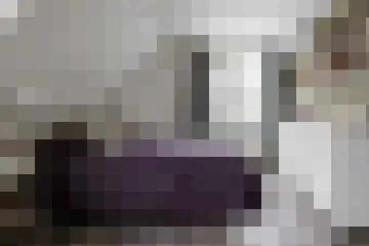 Wendakkers 6 Sibculo thumbnail 34