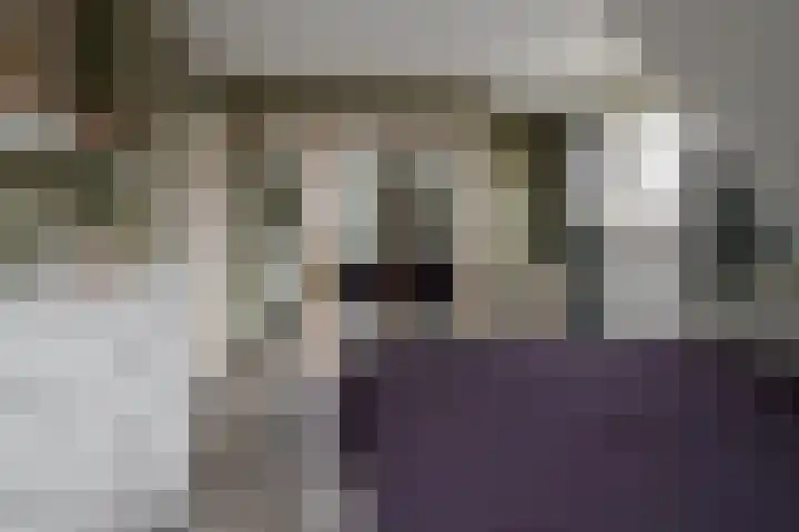 Wendakkers 6 Sibculo thumbnail 35