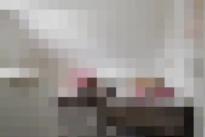 Wendakkers 6 Sibculo thumbnail 37