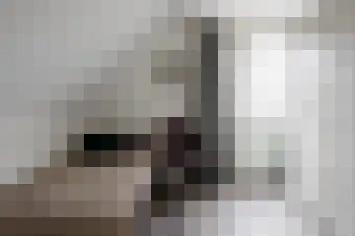 Wendakkers 6 Sibculo thumbnail 38