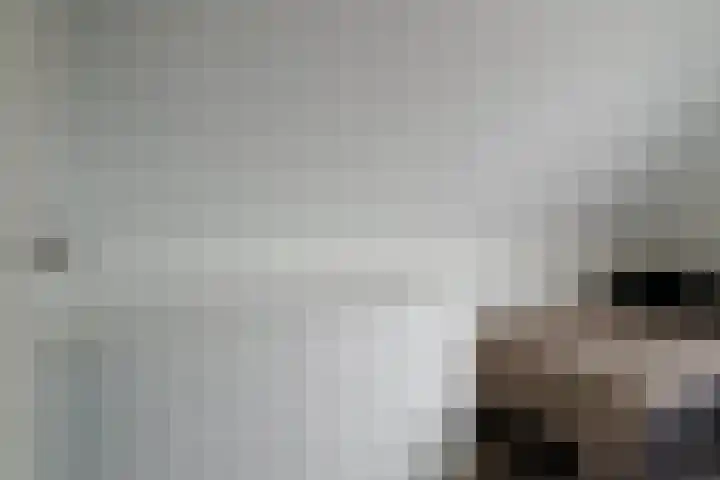 Wendakkers 6 Sibculo thumbnail 39