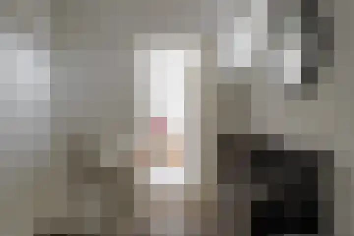 Wendakkers 6 Sibculo thumbnail 41