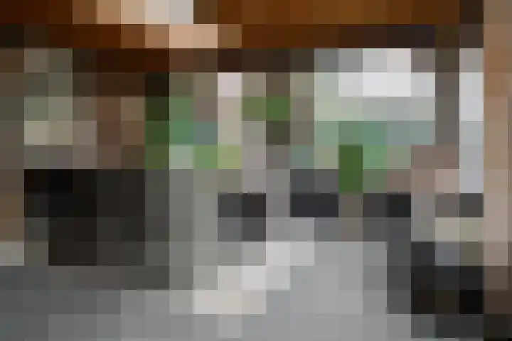 Wendakkers 6 Sibculo thumbnail 47