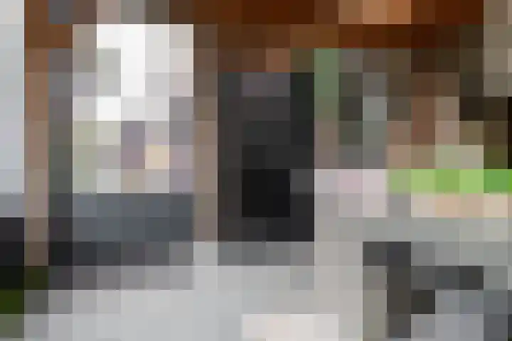 Wendakkers 6 Sibculo thumbnail 48