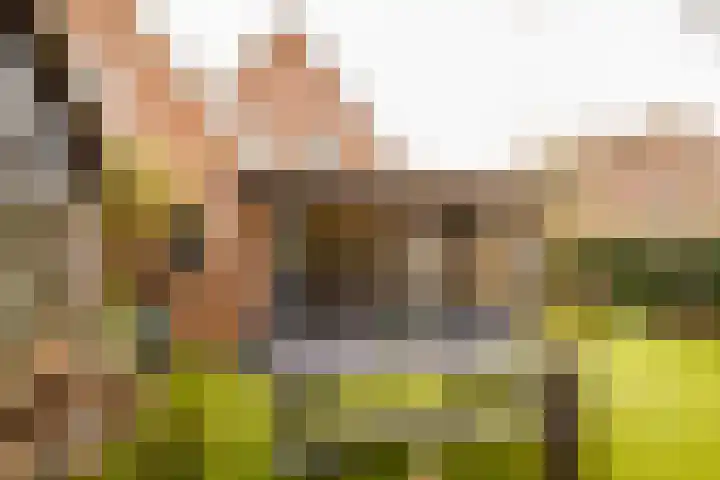 Wendakkers 6 Sibculo thumbnail 50