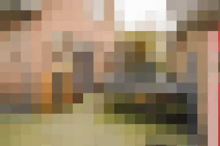 Wendakkers 6 Sibculo thumbnail 51