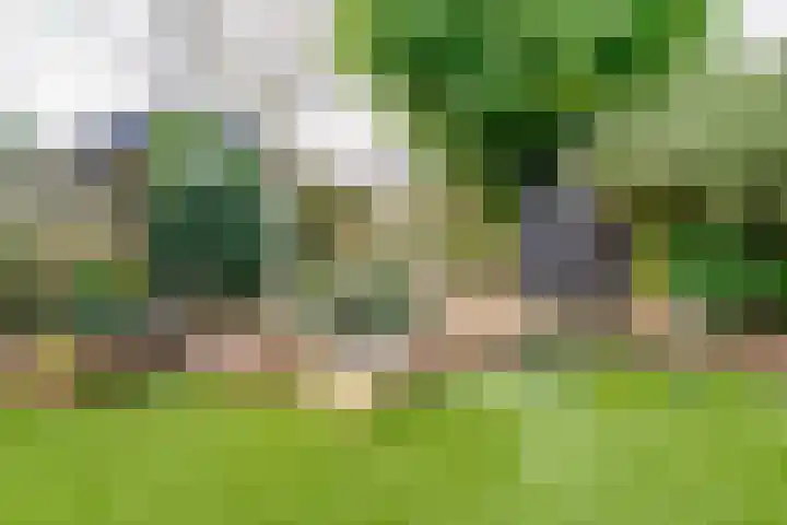 Wendakkers 6 Sibculo thumbnail 54