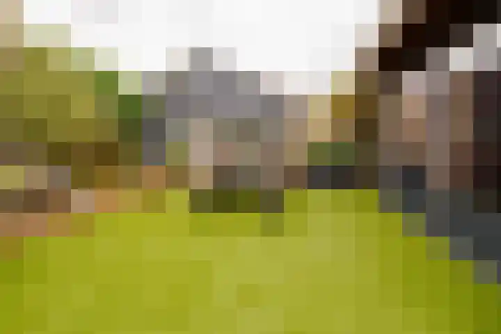 Wendakkers 6 Sibculo thumbnail 55