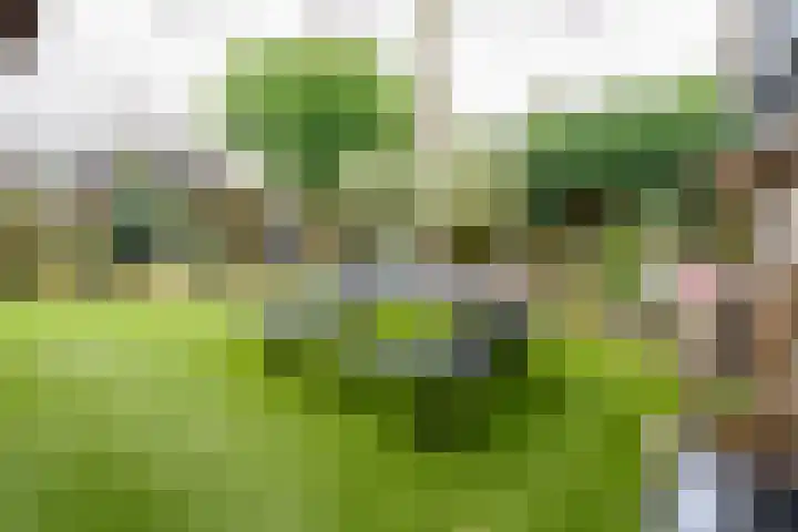 Wendakkers 6 Sibculo thumbnail 57