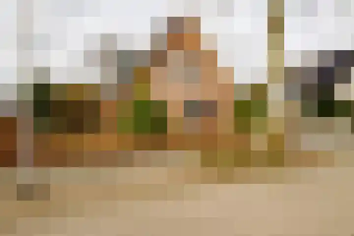 Wendakkers 6 Sibculo thumbnail 60