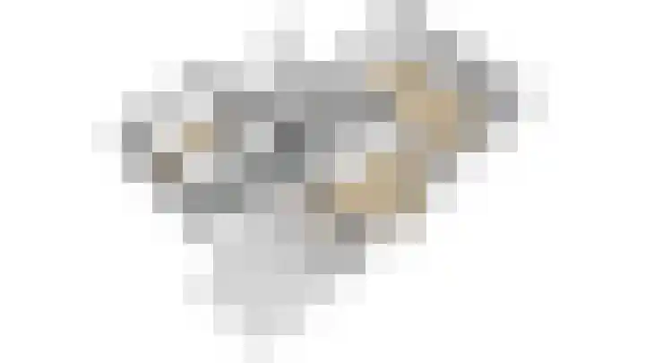 Wendakkers 6 Sibculo thumbnail 69