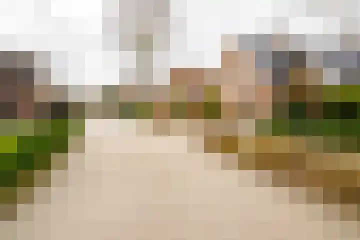 Wendakkers 6 Sibculo thumbnail 8