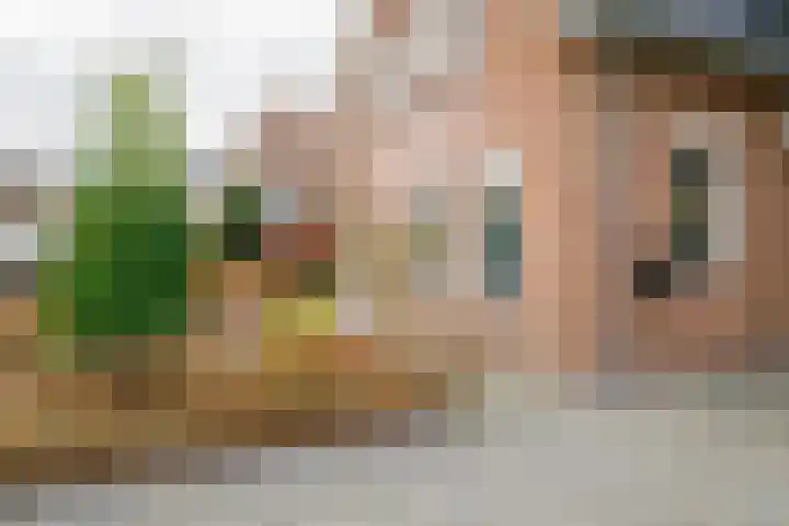 Wendakkers 6 Sibculo thumbnail 9