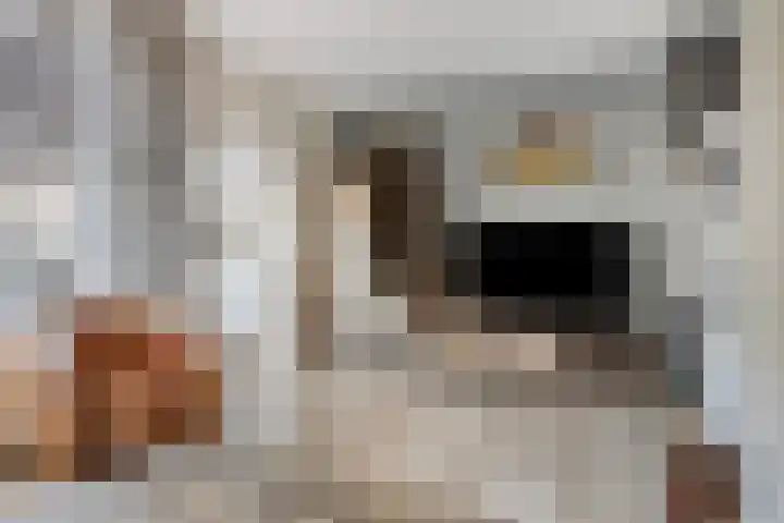 Wendel 9 Breda thumbnail 10