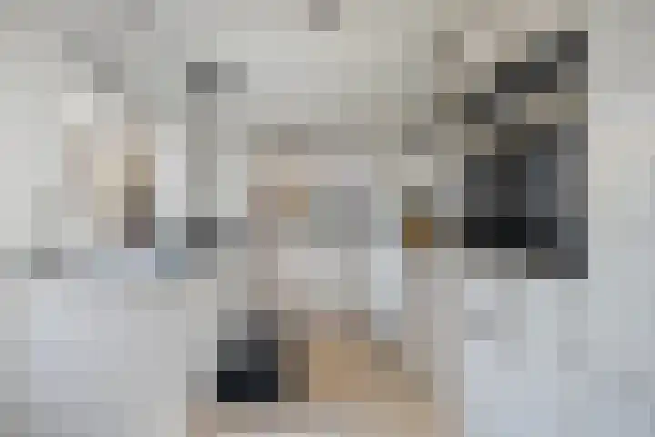 Wendel 9 Breda thumbnail 13
