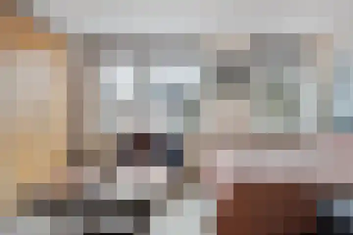 Wendel 9 Breda thumbnail 20