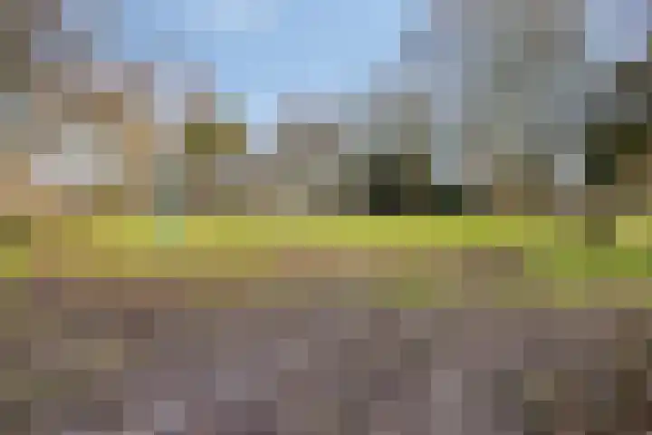 Wendel 9 Breda thumbnail 34