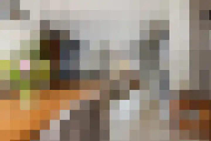 Wendel 9 Breda thumbnail 8