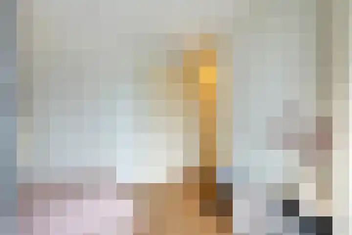Wendelaarhof 43 Alkmaar thumbnail 15