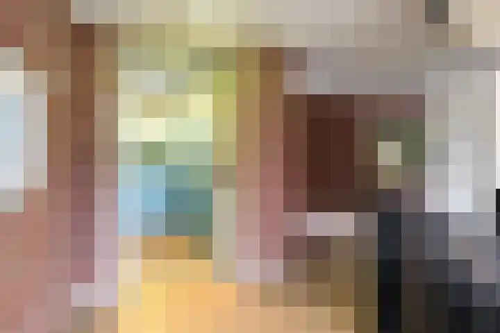 Wendelaarhof 43 Alkmaar thumbnail 49