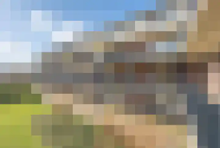 Wendelaarhof 43 Alkmaar thumbnail 5