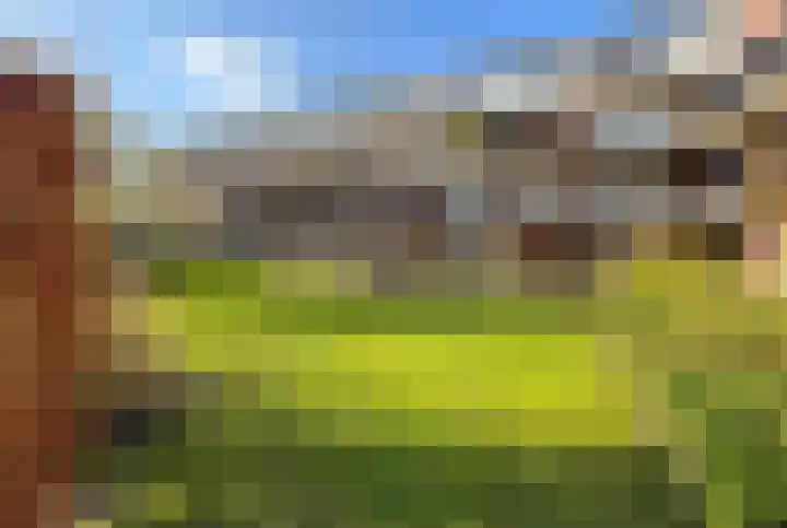 Wendelaarhof 43 Alkmaar thumbnail 56