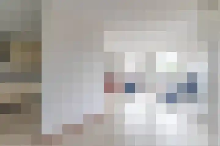 Wendelaarhof 57 Alkmaar thumbnail 11